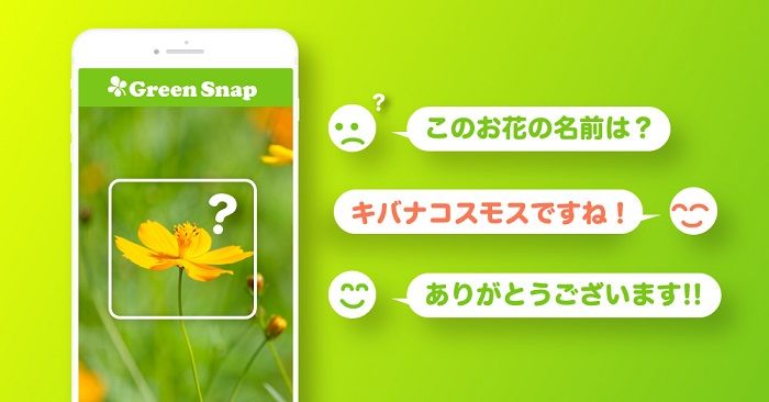 GreenSnap - 植物・花の名前が判る写真共有アプリ スクリーンショット