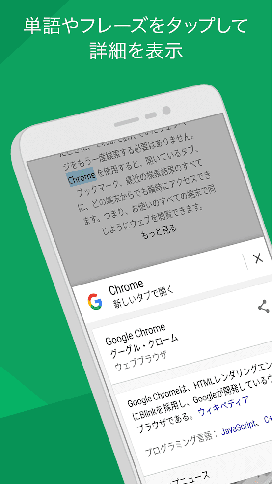 Google Chrome: 高速で安全 スクリーンショット